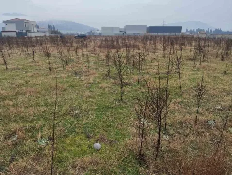Ravan građevinski plac sa niskim rastinjem. - image 4
