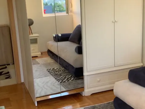 Izdavanje, jednosoban stan, 45m², Stari Aerodrom, Podgorica - image 6