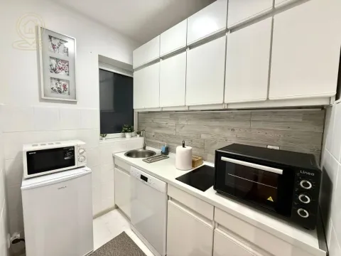 Izdavanje, dvosoban stan, 45m², Stari Grad, Beograd - image 3