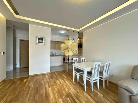 Izdavanje, jednosoban stan, 50m², Zagorič, Podgorica - image 5