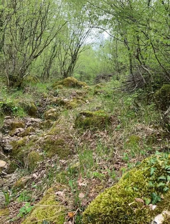 Prodaja, plac, 12000m², Centar, Bar