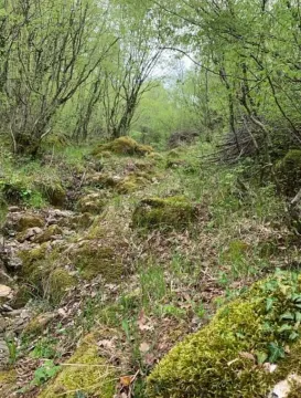 Prodaja, plac, 12000m², Centar, Bar - image 7