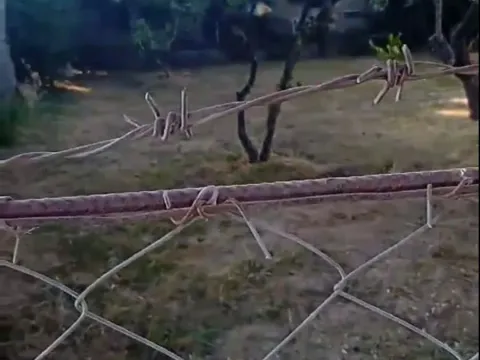 Sale, house, 113m², Bar, Crna Gora - image 5