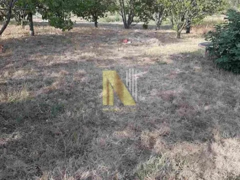 Prodaja, plac, 600m², Petrovaradin, Novi Sad - image 4