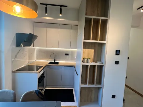 Rent, one bedroom apartment, 45m², Vezirov Most, Podgorica - image 4