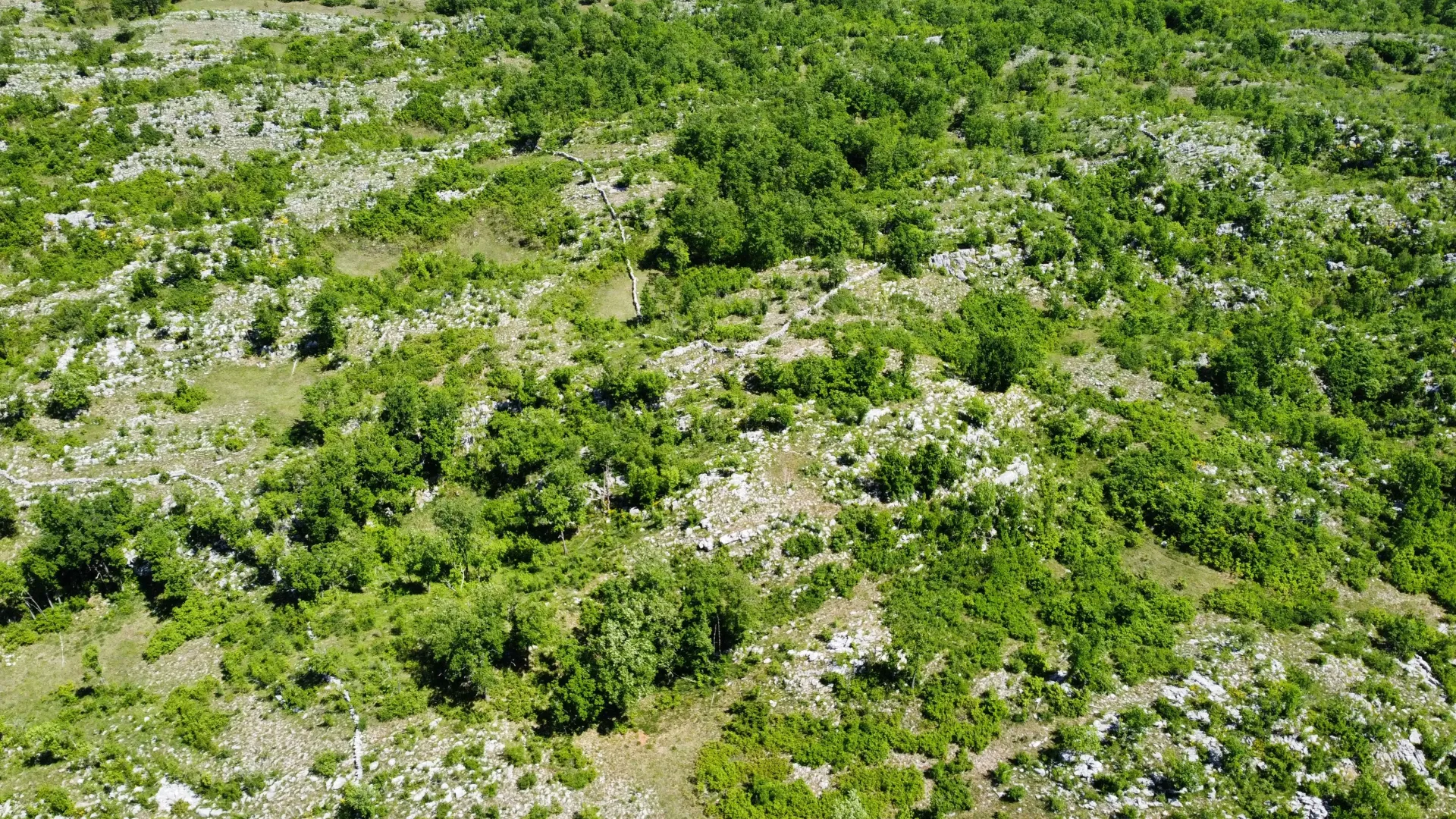 Prodaja, plac, 300000m², Rudine, Nikšić
