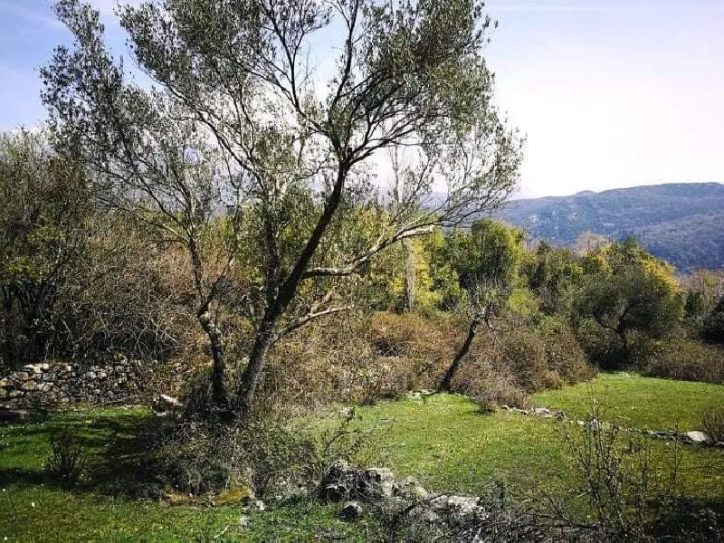 Prodaja, plac, 9800m², Herceg Novi, Crna Gora