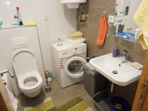 Izdavanje, dvosoban stan, 43m², Zemun Sve Podlokacije, Beograd - image 6