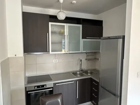 Rent, one bedroom apartment, 47m², Zagorič, Podgorica - image 2