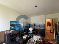 Prodaja, jednosoban stan, 39m², Zemun Gornji Grad, Zemun Sve Podlokacije - image 2