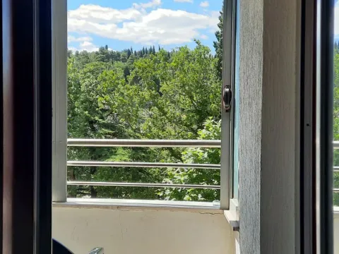 Izdavanje, jednosoban stan, 40m², Ljubović, Podgorica - image 7