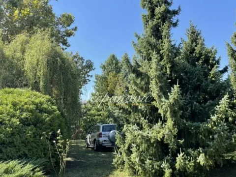 Prodaja, kuća, 202m², Sremska Kamenica, Petrovaradin - image 6