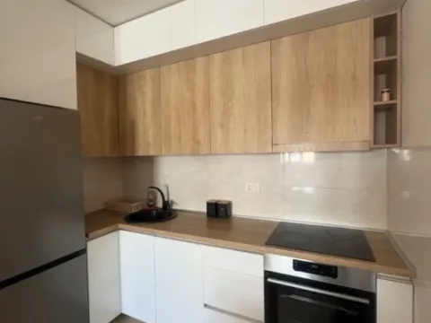 Izdavanje, jednosoban stan, 50m², Central Point, Podgorica - image 2