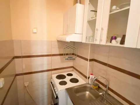 Izdavanje, jednosoban stan, 53m², Centar, Podgorica - image 6