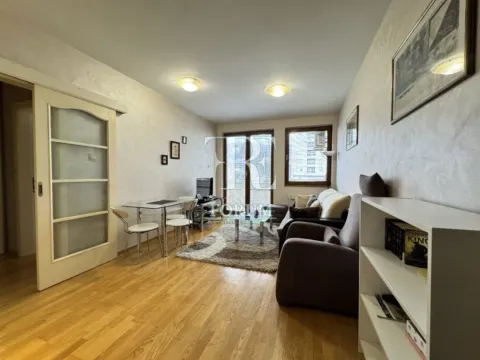 Izdavanje, jednosoban stan, 45m², Preko Morače, Podgorica - image 4