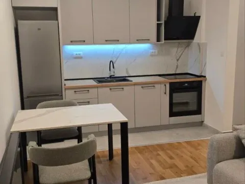 Izdavanje, jednosoban stan, 37m², Tološi, Podgorica - image 12