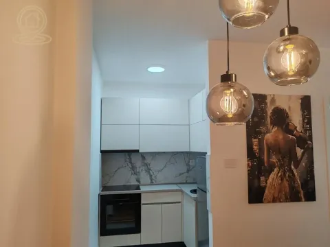 Izdavanje, dvosoban stan, 48m², Avijatičarsko naselje, Novi Sad Sve Podlokacije - image 8