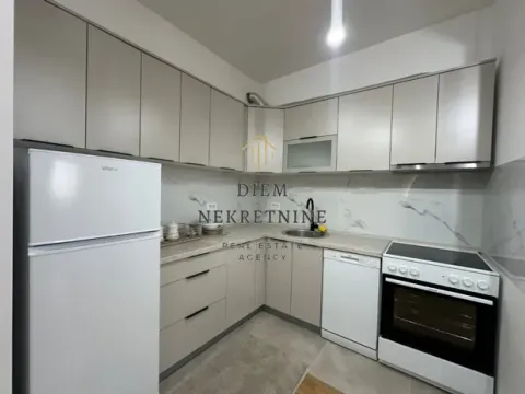 Rent, one bedroom apartment, 45m², Stari Aerodrom, Podgorica - image 5