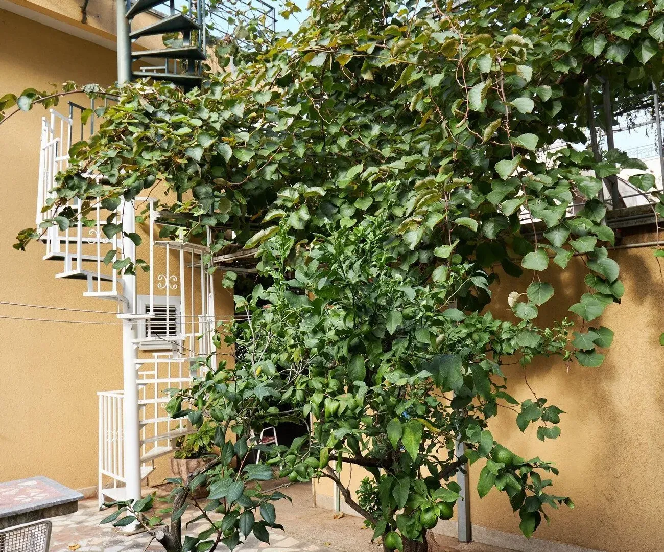 Prodaja, kuća, 110m², Budva, Crna Gora