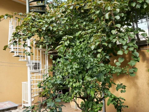 Sale, house, 110m², Budva, Crna Gora - image 12