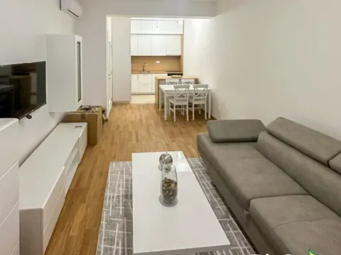 Izdavanje, jednosoban stan, 47m², Zabjelo, Podgorica - image 3