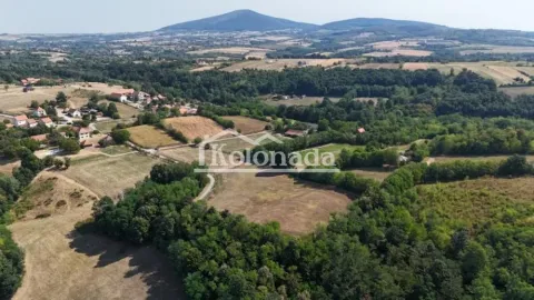 Pogled iz vazduha na okolnu prirodu, šume i seosko imanje. - image 4