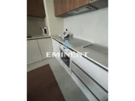 Izdavanje, dvosoban stan, 55m², Savski Venac, Beograd - image 5