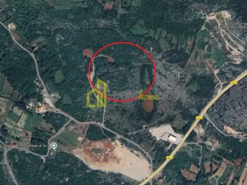 Prodaja, plac, 16595m², Podgorica, Crna Gora - image 2