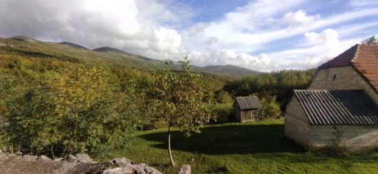 Prodaja, plac, 70500m², Mačak, Nikšić