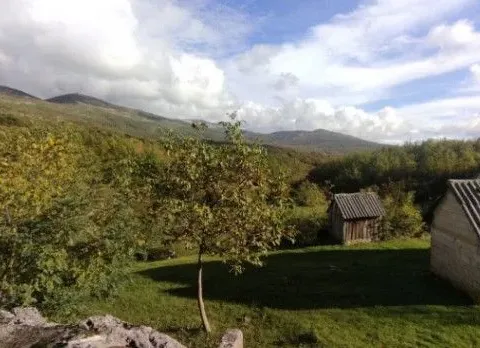 Sale, land lot, 70500m², Mačak, Nikšić - image 2