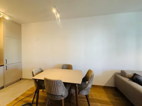 Izdavanje, jednosoban stan, 47m², City Kvart, Podgorica - image 8