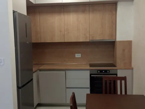 Rent, one bedroom apartment, 43m², Zabjelo, Podgorica - image 4