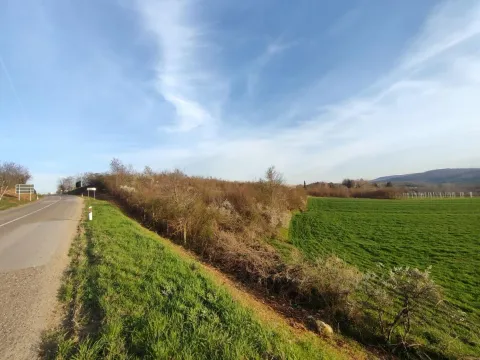 Prodaja, plac, 6000m², Beočin, Srbija - image 7