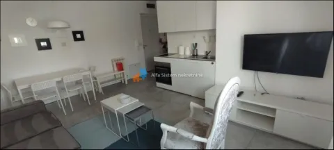 Izdavanje, dvosoban stan, 42m², Vračar Sve Podlokacije, Beograd - image 7