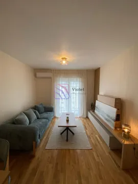 Rent, one bedroom apartment, 40m², Zabjelo, Podgorica - image 5