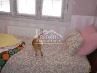 Prodaja, kuća, 126m², Boleč, Grocka - image 7