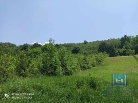 Prodaja,  zemljište, 79m2, Đurđevo brdo, Jagodina