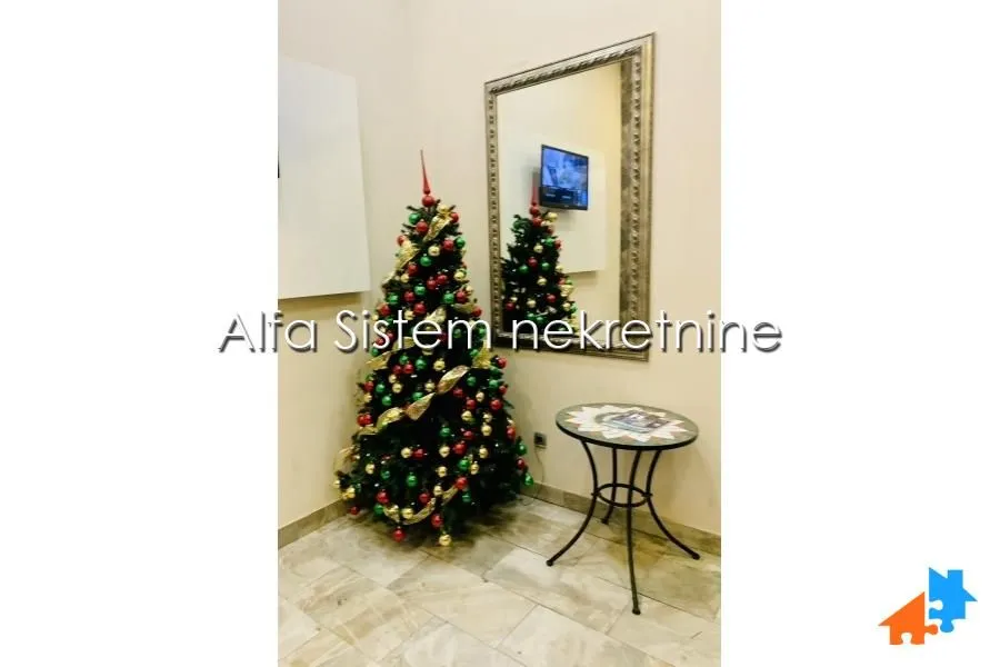 Izdavanje, dvosoban stan, 58m², Botanička Bašta, Palilula Sve Podlokacije