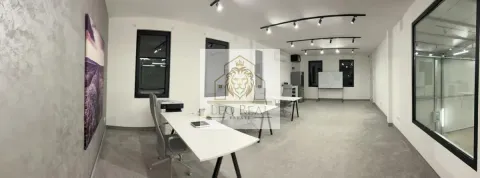 Izdavanje, poslovni prostor, 450m², Obrenovac, Beograd - image 9