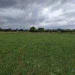 Prodaja, plac, 2645m², Podgorica, Crna Gora - image 4