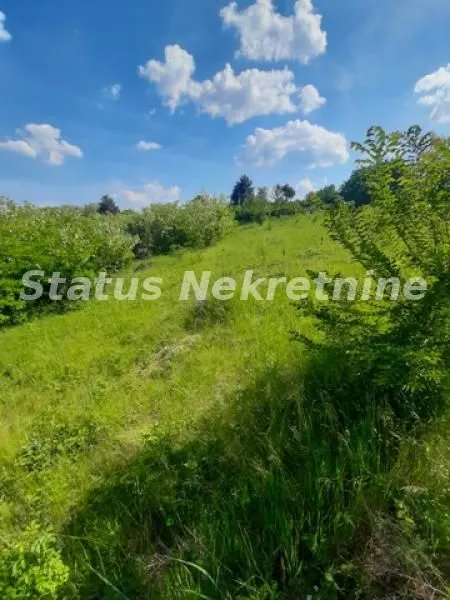 Sale, house, 300m², Ledinci, Petrovaradin