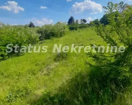 Sale, house, 300m², Ledinci, Petrovaradin - image 4