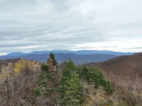 Sale, house, 80m², Jastrebac, Vlasotince - image 9