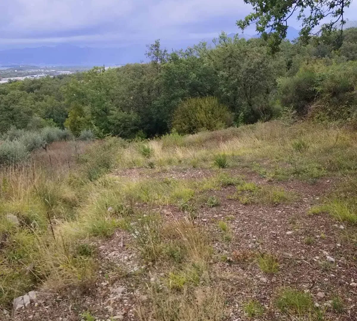 Prodaja, plac, 1500m², Kotor, Crna Gora
