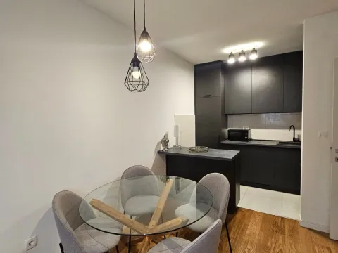 Izdavanje, jednosoban stan, 49m², Central Point, Podgorica - image 6