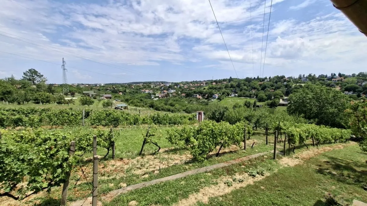 Prodaja, plac, 3000m², Bocke, Petrovaradin