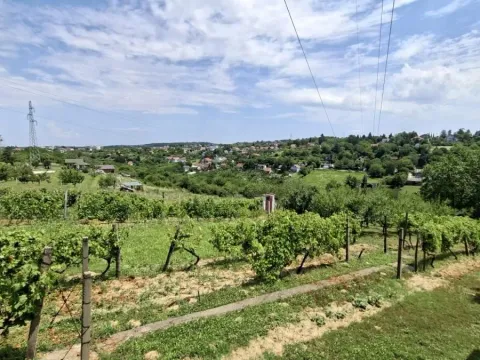Prodaja, plac, 3000m², Bocke, Petrovaradin - image 10