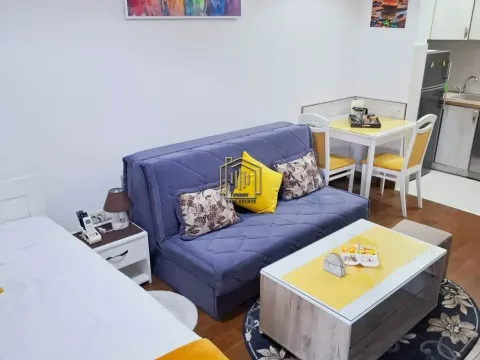 Rent, apartment, 30m², Stara Varoš, Podgorica - image 2