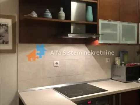 Rent, two bedroom apartment, 50m², Vračar Sve Podlokacije, Beograd - image 4