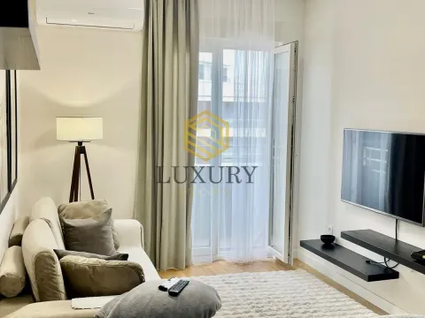 Izdavanje, jednosoban stan, 40m², Central Point, Podgorica - image 2